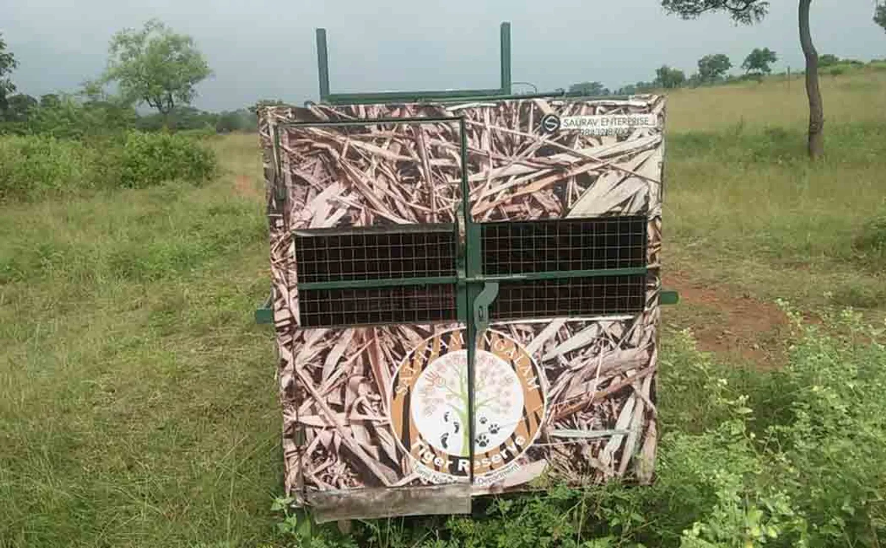increasing leopard's disturbance 